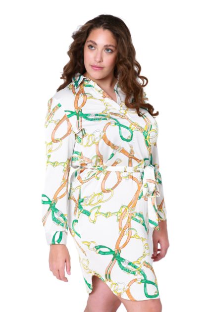 Clara Shirt Dress With Sleeves