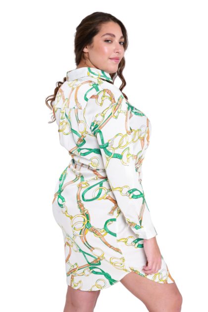 Clara Shirt Dress With Sleeves